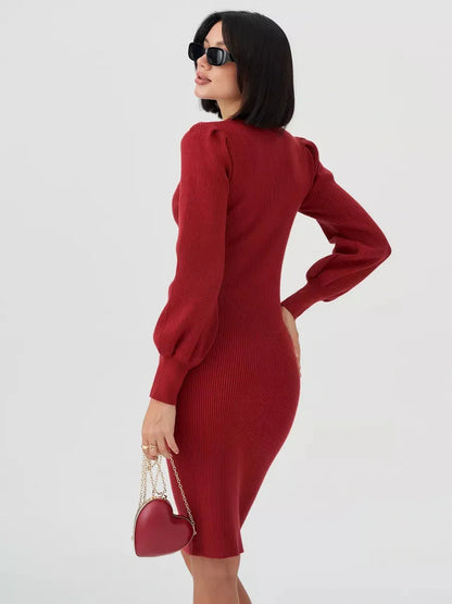 Crimson Curve Mini Dress