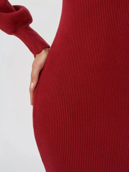 Crimson Curve Mini Dress